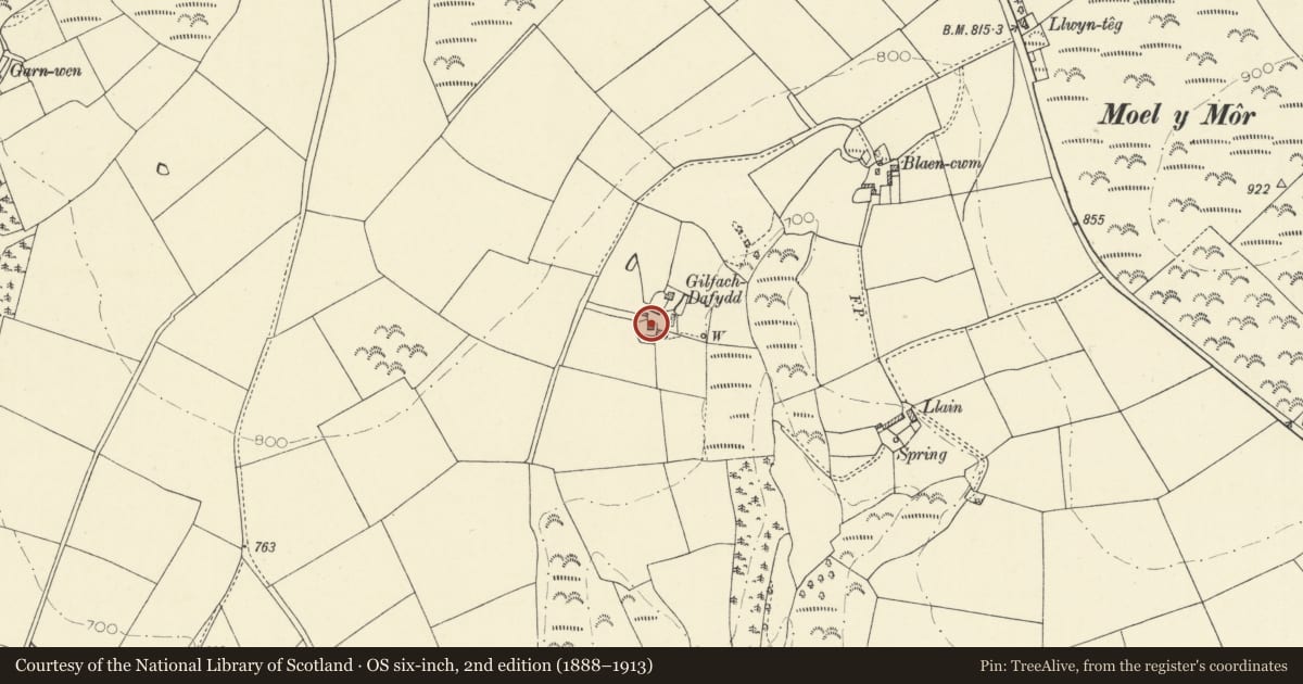 Ordnance Survey six-inch map, 2nd edition (1888–1913) covering the location of Gilfach Dafydd, Llandysul, Ceredigion, with a pin at the register's coordinates