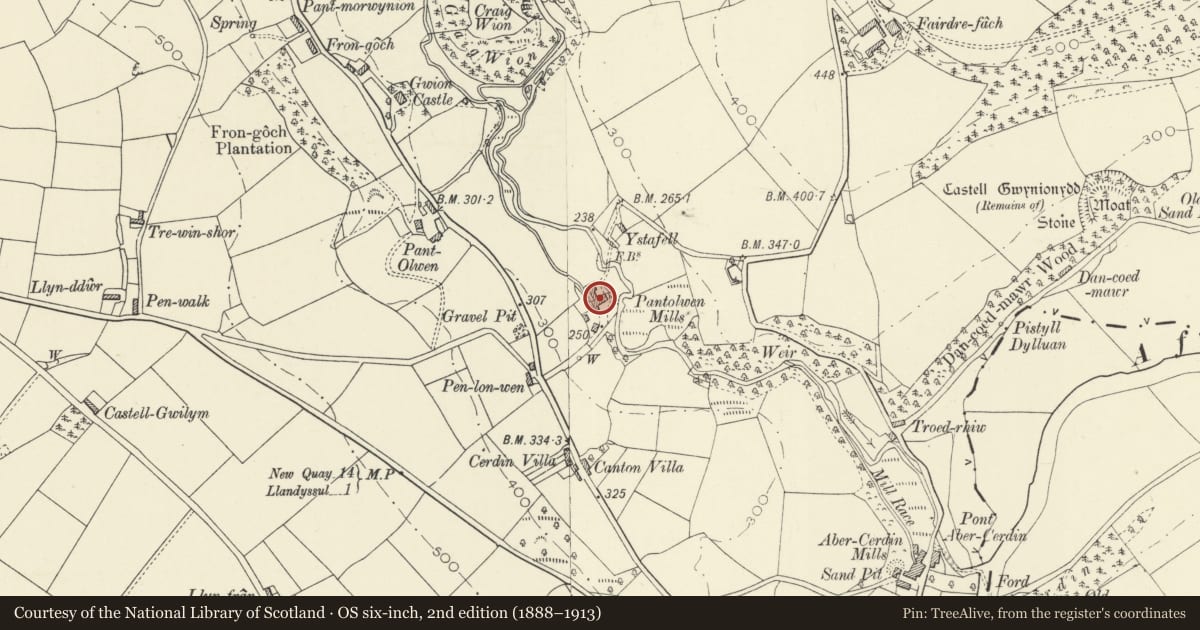 Ordnance Survey six-inch map, 2nd edition (1888–1913) covering the location of Pantolwen Mills (S Building), Llandysul, Ceredigion, with a pin at the register's coordinates