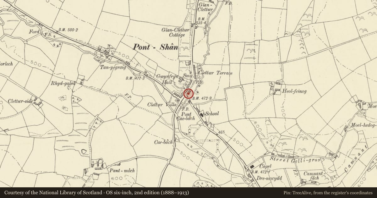 Ordnance Survey six-inch map, 2nd edition (1888–1913) covering the location of Former Grain & Seed Shop opposite Pontsian Stores, Llandysul, Ceredigion, with a pin at the register's coordinates