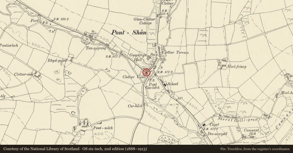 Ordnance Survey six-inch map, 2nd edition (1888–1913) covering the location of Clettwr Villa, Llandysul, Ceredigion, with a pin at the register's coordinates