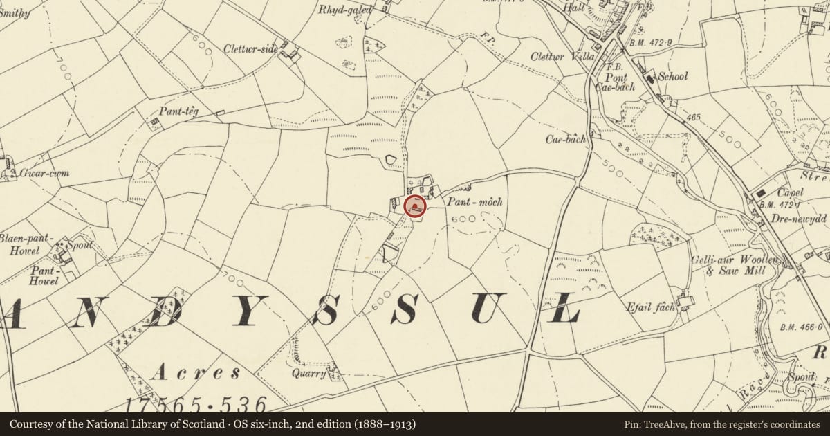 Ordnance Survey six-inch map, 2nd edition (1888–1913) covering the location of Outbuildings & Mill Wheel at Pantmoch, Llandysul, Ceredigion, with a pin at the register's coordinates