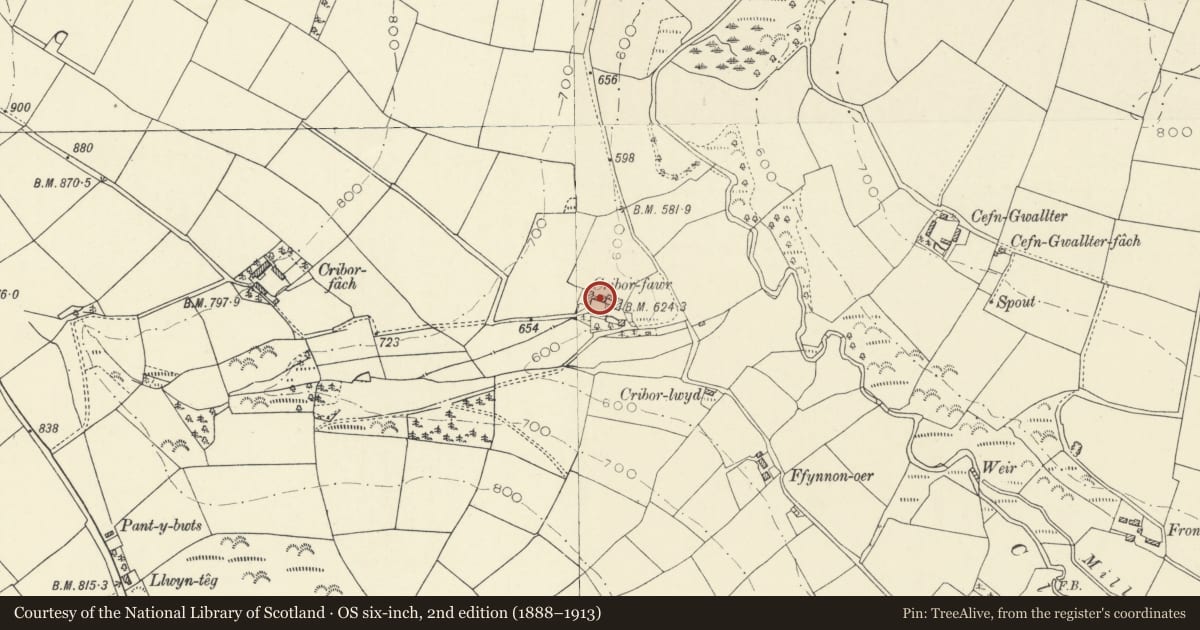 Ordnance Survey six-inch map, 2nd edition (1888–1913) covering the location of Cribor Fawr, Cwm Clettwr Fawr, Llandysul, Ceredigion, with a pin at the register's coordinates
