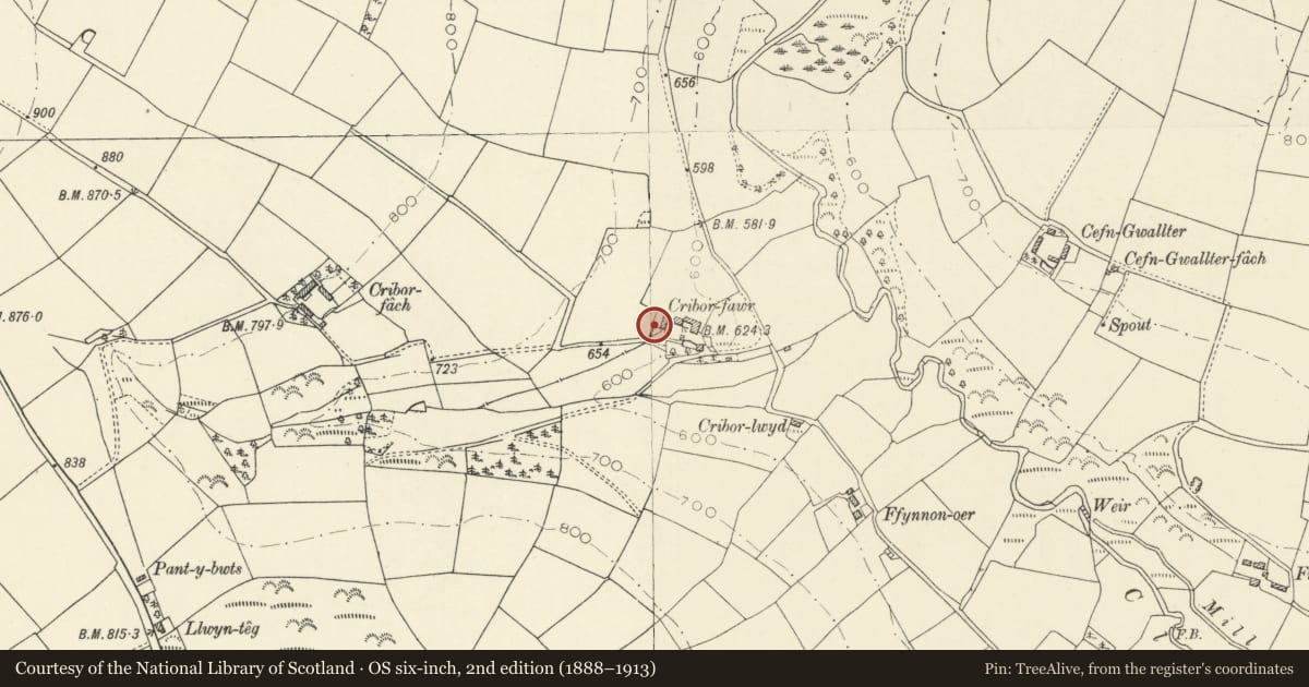 Ordnance Survey six-inch map, 2nd edition (1888–1913) covering the location of L-Plan Outbuildings to left of Cribor Fawr, Cwm Clettwr Fawr, Llandysul, Ceredigion, with a pin at the register's coordinates