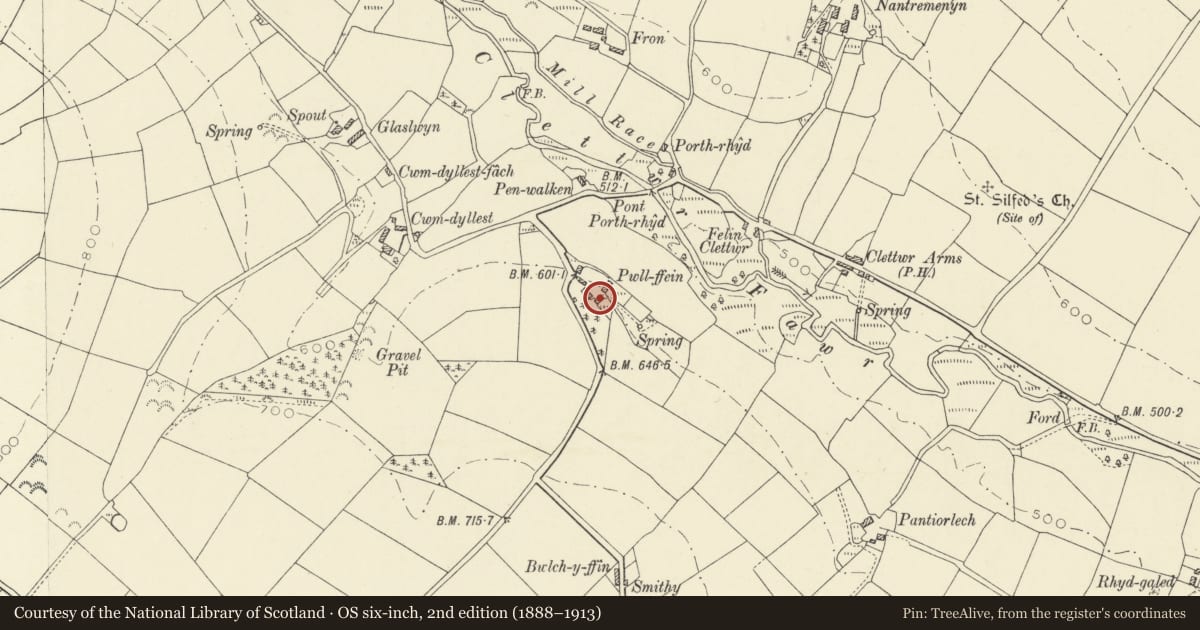 Ordnance Survey six-inch map, 2nd edition (1888–1913) covering the location of Old Farmhouse at Pwllfein Farm, Llandysul, Ceredigion, with a pin at the register's coordinates