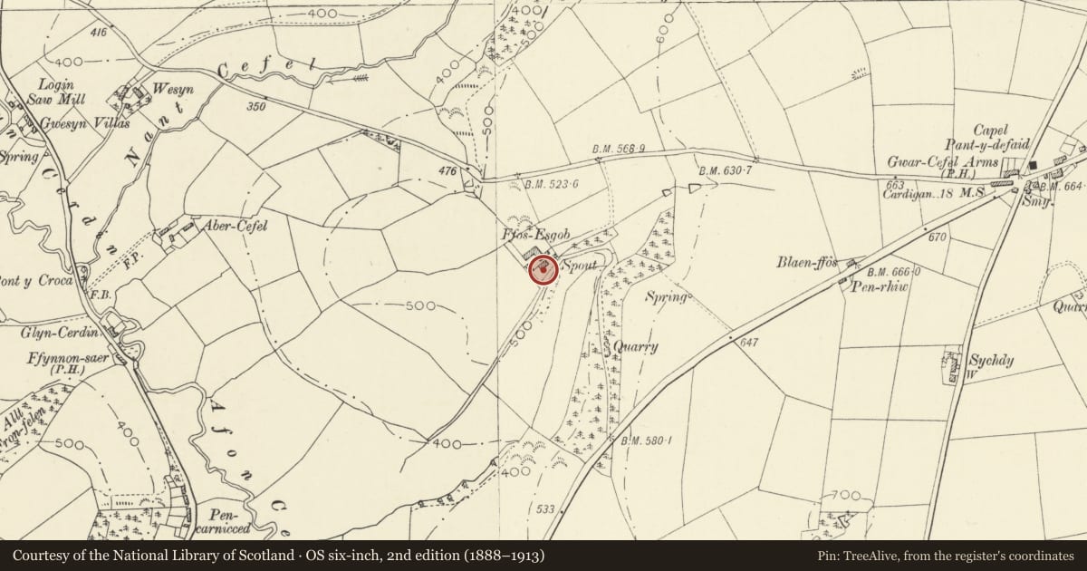 Ordnance Survey six-inch map, 2nd edition (1888–1913) covering the location of Ffosyresgob, Llandysul, Ceredigion, with a pin at the register's coordinates