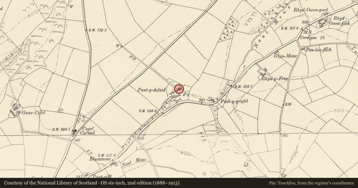 Ordnance Survey six-inch map, 2nd edition (1888–1913) covering the location of Pantydefaid including Lower Range to Right, Llandysul, Ceredigion, with a pin at the register's coordinates