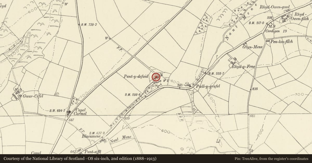 Ordnance Survey six-inch map, 2nd edition (1888–1913) covering the location of Outbuilding on N side of farmyard of Pantydefaid, Llandysul, Ceredigion, with a pin at the register's coordinates