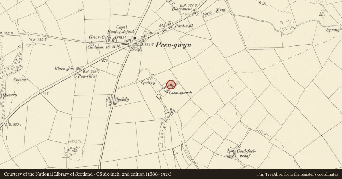 Ordnance Survey six-inch map, 2nd edition (1888–1913) covering the location of Cwm March, Llandysul, Ceredigion, with a pin at the register's coordinates