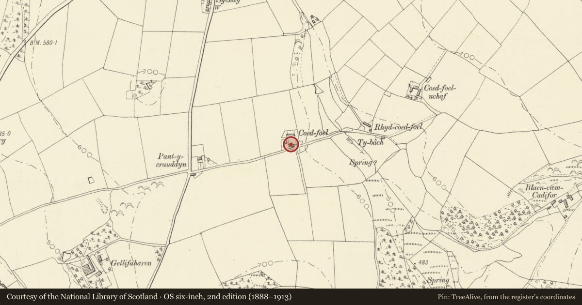 Ordnance Survey six-inch map, 2nd edition (1888–1913) covering the location of Outbuilding to SE of Farmhouse at Coedfoel, Llandysul, Ceredigion, with a pin at the register's coordinates