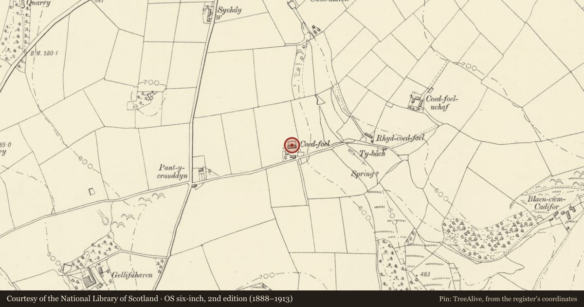 Ordnance Survey six-inch map, 2nd edition (1888–1913) covering the location of Outbuilding to N of Farmhouse at Coedyfoel, Llandysul, Ceredigion, with a pin at the register's coordinates