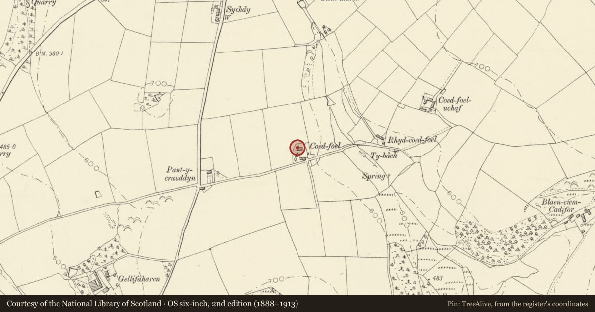 Ordnance Survey six-inch map, 2nd edition (1888–1913) covering the location of Outbuilding to NW Corner of Farmhouse at Coedyfoel, Llandysul, Ceredigion, with a pin at the register's coordinates