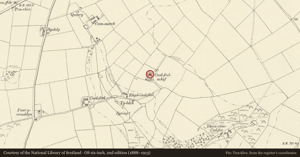 Ordnance Survey six-inch map, 2nd edition (1888–1913) covering the location of Coedfoel Uchaf, Llandysul, Ceredigion, with a pin at the register's coordinates