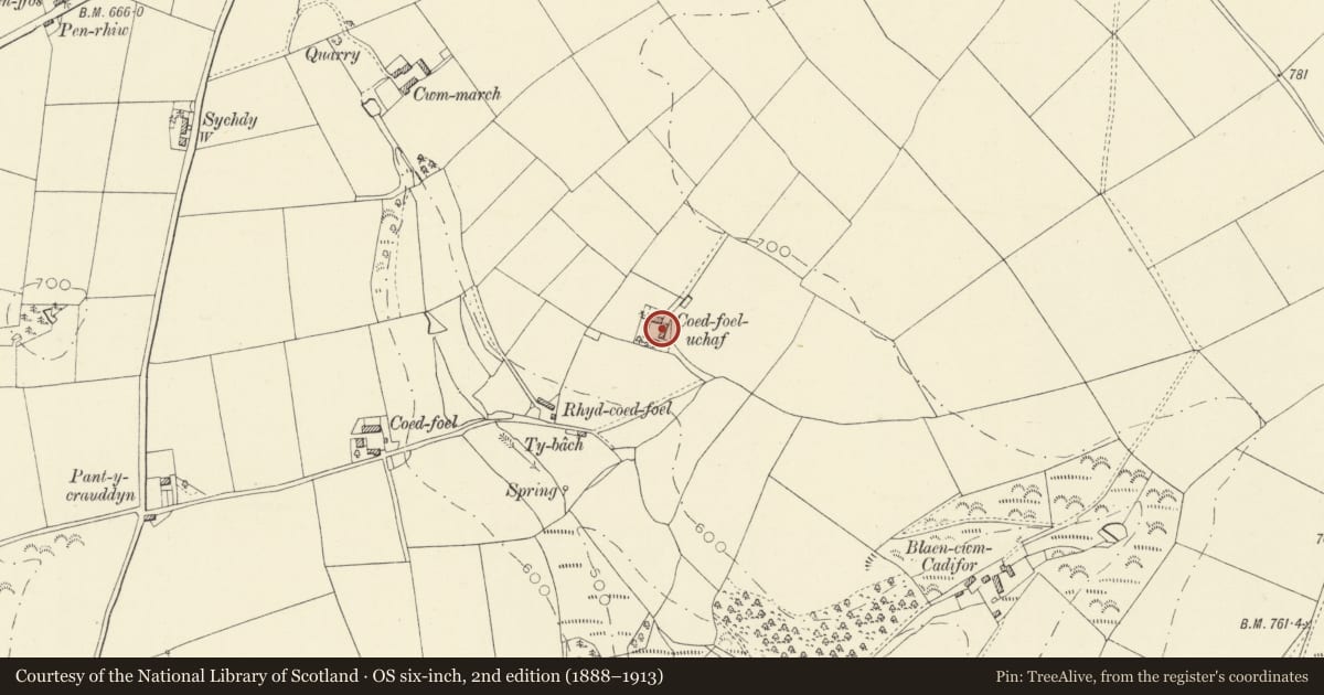 Ordnance Survey six-inch map, 2nd edition (1888–1913) covering the location of Outbuilding on E side of Farmcourt at Coedfoel Uchaf, Llandysul, Ceredigion, with a pin at the register's coordinates
