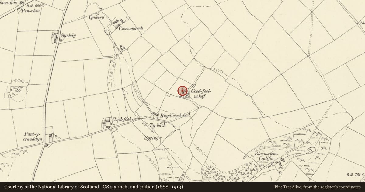 Ordnance Survey six-inch map, 2nd edition (1888–1913) covering the location of Outbuilding on W side of farmcourt at Coedfoel Uchaf, Llandysul, Ceredigion, with a pin at the register's coordinates
