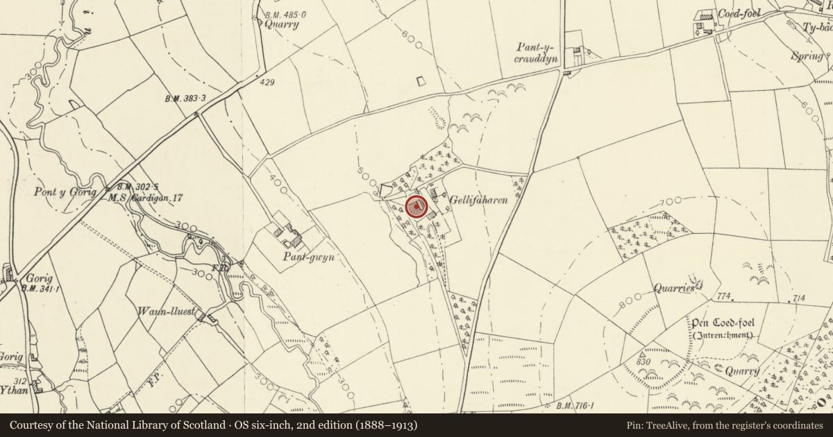 Ordnance Survey six-inch map, 2nd edition (1888–1913) covering the location of U-Plan Complex at Gellifaharen, Llandysul, Ceredigion, with a pin at the register's coordinates