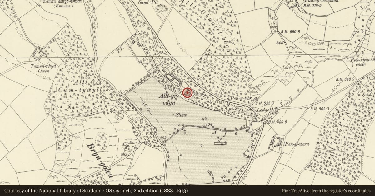 Ordnance Survey six-inch map, 2nd edition (1888–1913) covering the location of Alltyrodyn, Including Rear Courtyard and Bell Tower, Llandysul, Ceredigion, with a pin at the register's coordinates