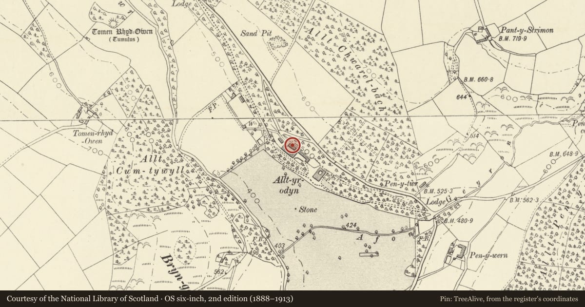 Ordnance Survey six-inch map, 2nd edition (1888–1913) covering the location of Farm Range on NE side of Farmcourt at Alltyrodyn Home Farm, Llandysul, Ceredigion, with a pin at the register's coordinates