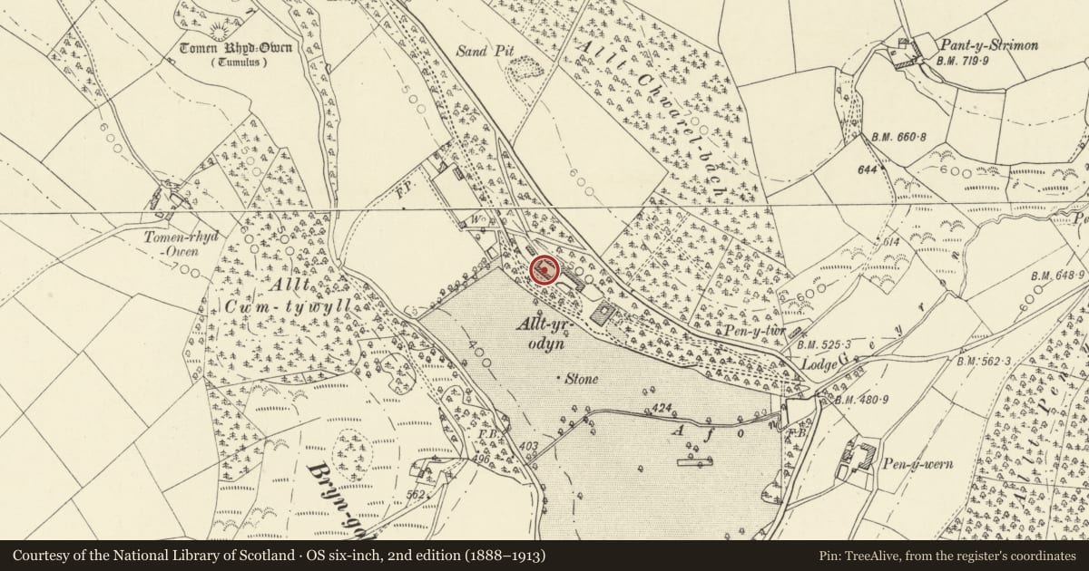 Ordnance Survey six-inch map, 2nd edition (1888–1913) covering the location of Farm Range on SW side of Farmcourt at Allyrodyn Home Farm, Llandysul, Ceredigion, with a pin at the register's coordinates