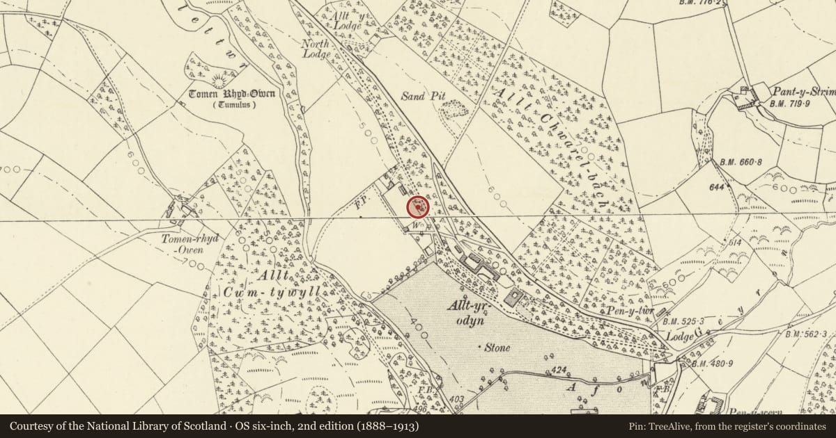Ordnance Survey six-inch map, 2nd edition (1888–1913) covering the location of Walls to Walled Garden at Alltyrodyn, Llandysul, Ceredigion, with a pin at the register's coordinates