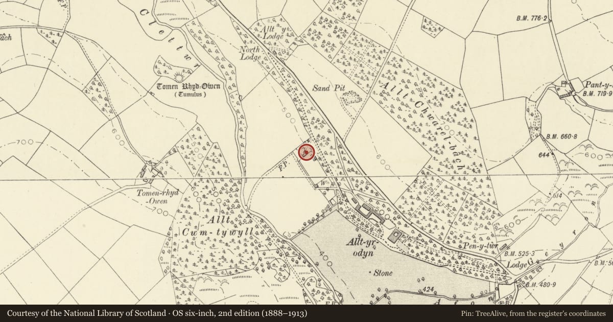 Ordnance Survey six-inch map, 2nd edition (1888–1913) covering the location of Garden Cottage at Alltyrodyn, Llandysul, Ceredigion, with a pin at the register's coordinates