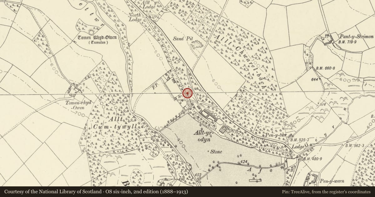 Ordnance Survey six-inch map, 2nd edition (1888–1913) covering the location of The Bath House in grounds to NW of Alltyrodyn, Llandysul, Ceredigion, with a pin at the register's coordinates