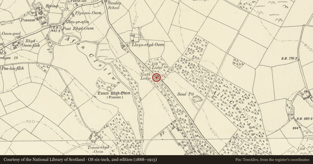 Ordnance Survey six-inch map, 2nd edition (1888–1913) covering the location of Entrance Gatepiers on N Drive to Alltyrodyn, Llandysul, Ceredigion, with a pin at the register's coordinates