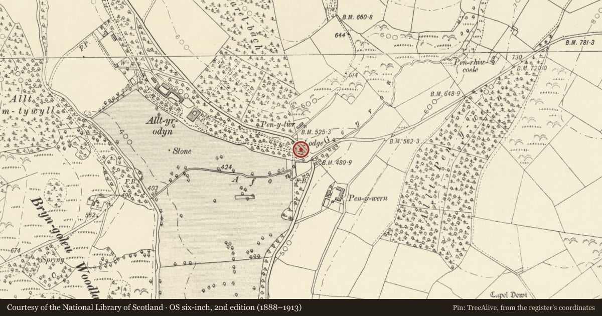 Ordnance Survey six-inch map, 2nd edition (1888–1913) covering the location of Gates & Gatepiers to Alltyrodyn Driveway, South Lodge, Attached Walls, Gates, Llandysul, Ceredigion, with a pin at the register's coordinates