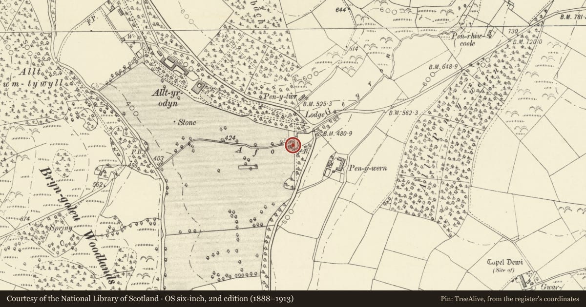 Ordnance Survey six-inch map, 2nd edition (1888–1913) covering the location of Serpentine Cascade from Lake by South Lodge Alltyrodyn, Llandysul, Ceredigion, with a pin at the register's coordinates