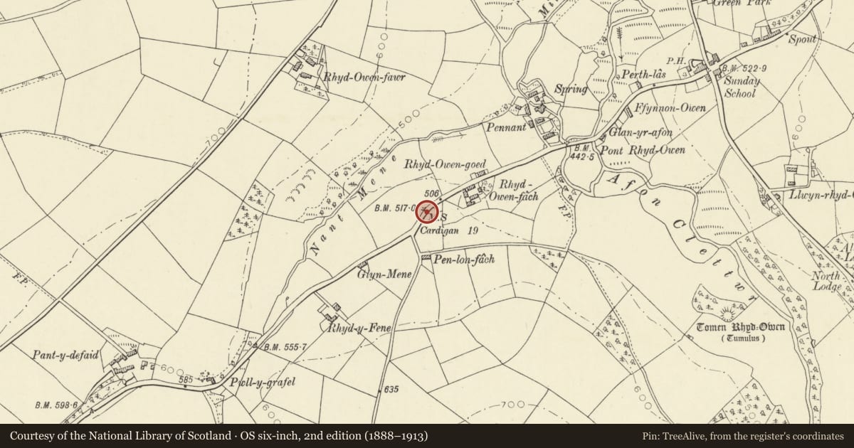Ordnance Survey six-inch map, 2nd edition (1888–1913) covering the location of Milestone W of Rhydowenfach, Llandysul, Ceredigion, with a pin at the register's coordinates