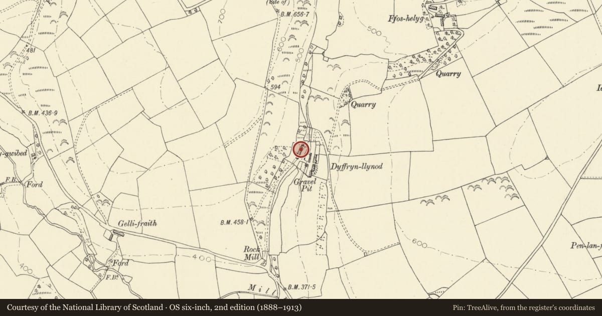 Ordnance Survey six-inch map, 2nd edition (1888–1913) covering the location of Outbuilding with Mill Wheel at Dyffryn Llynod, Llandysul, Ceredigion, with a pin at the register's coordinates