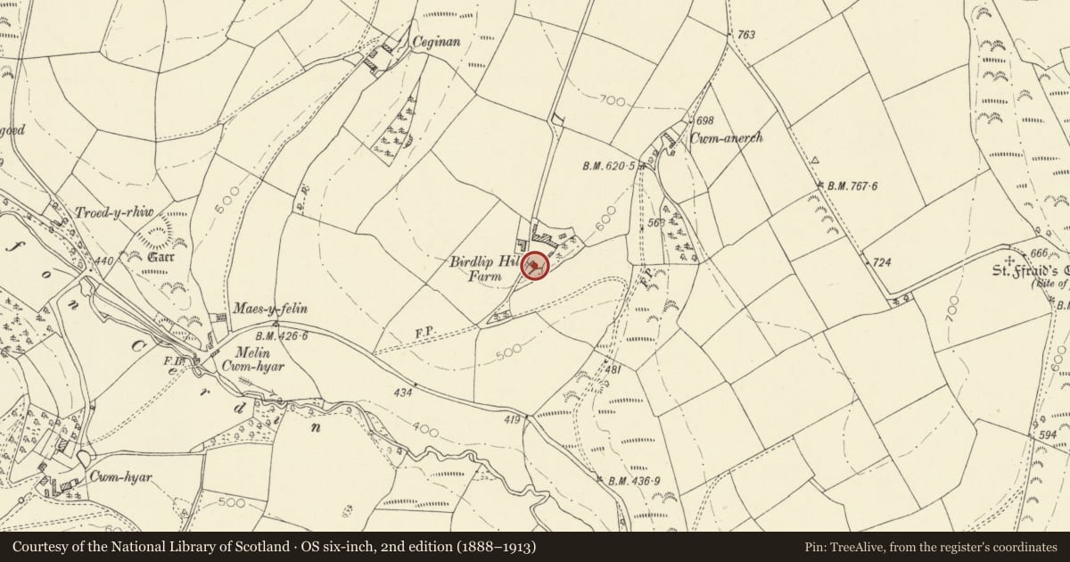 Ordnance Survey six-inch map, 2nd edition (1888–1913) covering the location of Outbuilding to S of Birdlip Farmhouse, Llandysul, Ceredigion, with a pin at the register's coordinates