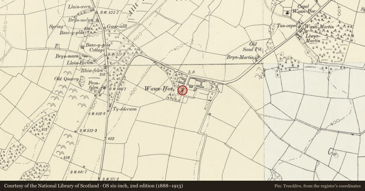 Ordnance Survey six-inch map, 2nd edition (1888–1913) covering the location of Chimney Cottage including rear courtyard walls with bee boles, Llandysul, Ceredigion, with a pin at the register's coordinates