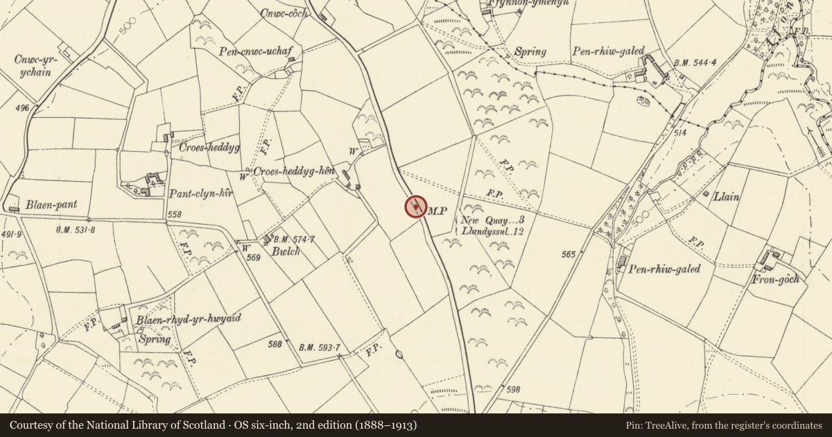Ordnance Survey six-inch map, 2nd edition (1888–1913) covering the location of Milestone SE of Croesheddig Hen Farm, Llanllwchaiarn, Ceredigion, with a pin at the register's coordinates