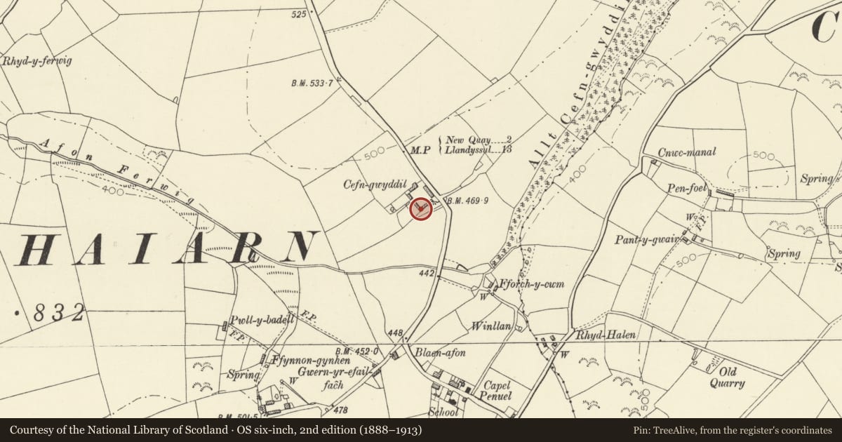 Ordnance Survey six-inch map, 2nd edition (1888–1913) covering the location of L-Plan Outbuilding at SW angle of farmyard at Cefn Gwyddil Farm, Llanllwchaiarn, Ceredigion, with a pin at the register's coordinates