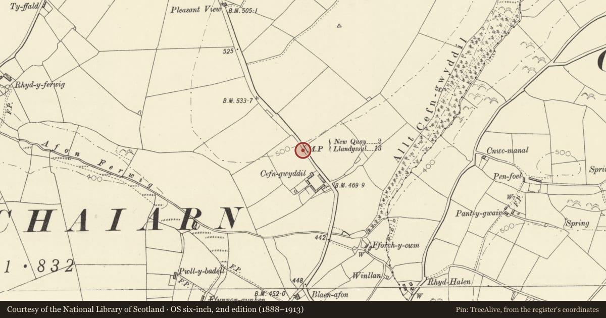 Ordnance Survey six-inch map, 2nd edition (1888–1913) covering the location of Milestone N of Cefn Gwyddil Farm, Llanllwchaiarn, Ceredigion, with a pin at the register's coordinates