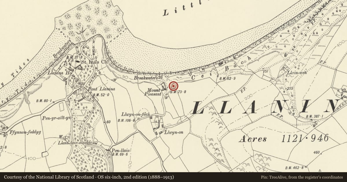 Ordnance Survey six-inch map, 2nd edition (1888–1913) covering the location of The Cottage, Llanllwchaiarn, Ceredigion, with a pin at the register's coordinates