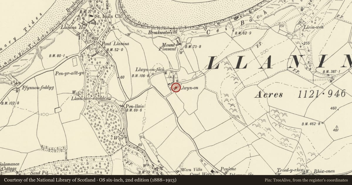 Ordnance Survey six-inch map, 2nd edition (1888–1913) covering the location of Llwynon, Llanllwchaiarn, Ceredigion, with a pin at the register's coordinates