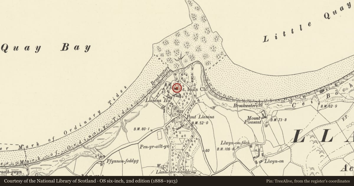 Ordnance Survey six-inch map, 2nd edition (1888–1913) covering the location of Church of St Ina, Llanllwchaiarn, Ceredigion, with a pin at the register's coordinates