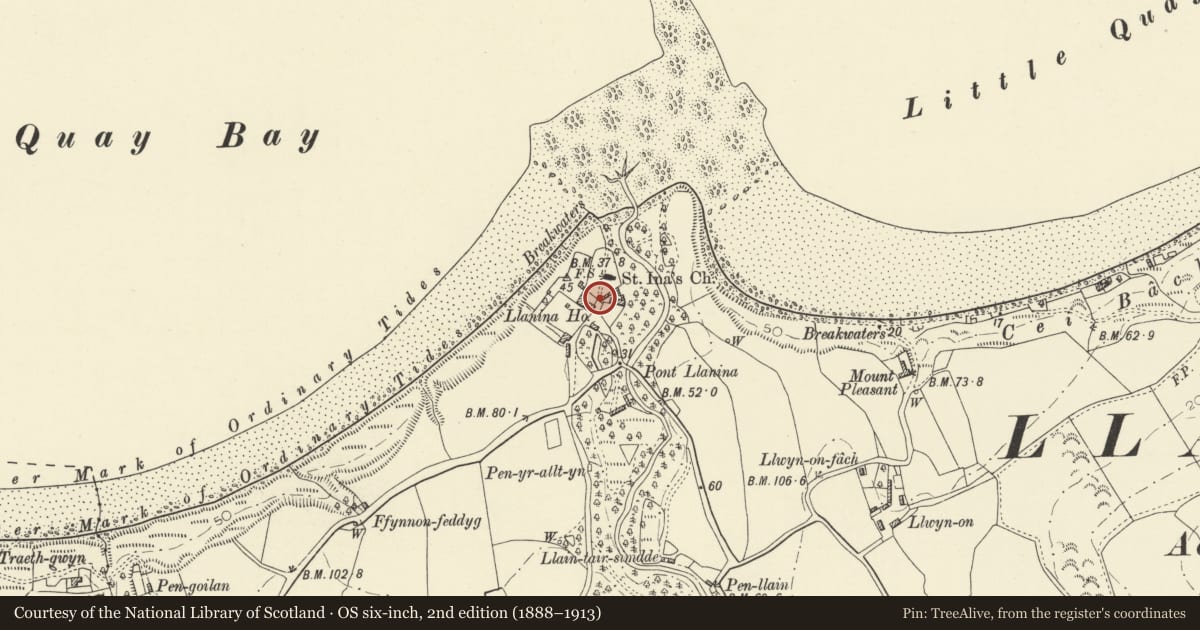 Ordnance Survey six-inch map, 2nd edition (1888–1913) covering the location of Lychgate to Church of St Ina, Llanllwchaiarn, Ceredigion, with a pin at the register's coordinates