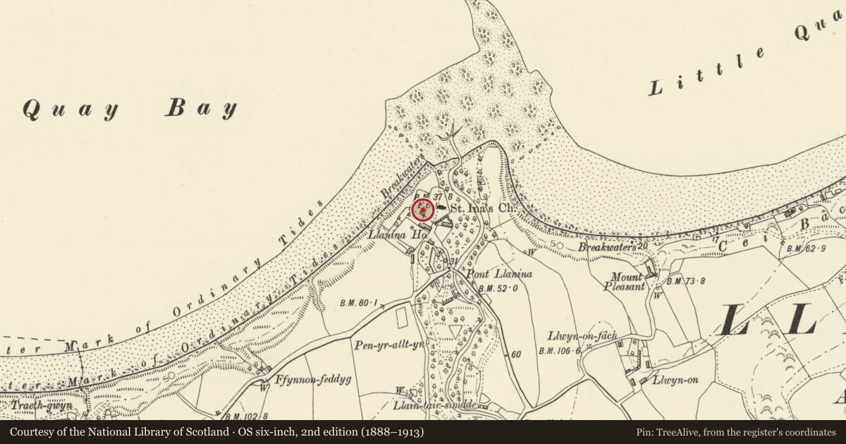 Ordnance Survey six-inch map, 2nd edition (1888–1913) covering the location of Summerhouse to N of Plas Llanina, Llanllwchaiarn, Ceredigion, with a pin at the register's coordinates