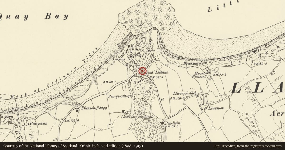 Ordnance Survey six-inch map, 2nd edition (1888–1913) covering the location of Pont Llanina, Llanllwchaiarn, Ceredigion, with a pin at the register's coordinates