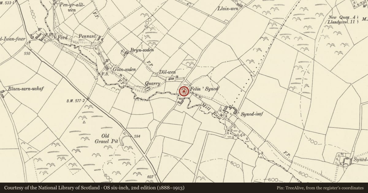 Ordnance Survey six-inch map, 2nd edition (1888–1913) covering the location of Melyn Synod, Synod Mill, Llanllwchaiarn, Ceredigion, with a pin at the register's coordinates