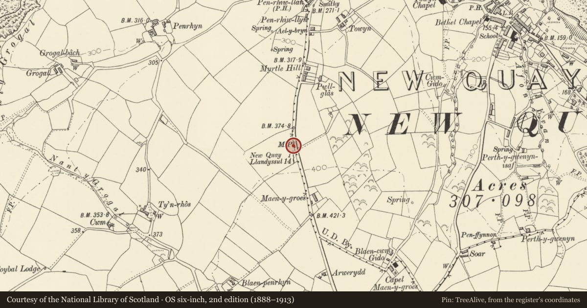 Ordnance Survey six-inch map, 2nd edition (1888–1913) covering the location of Milestone S of Cemetery Entrance, Llanllwchaiarn, Ceredigion, with a pin at the register's coordinates