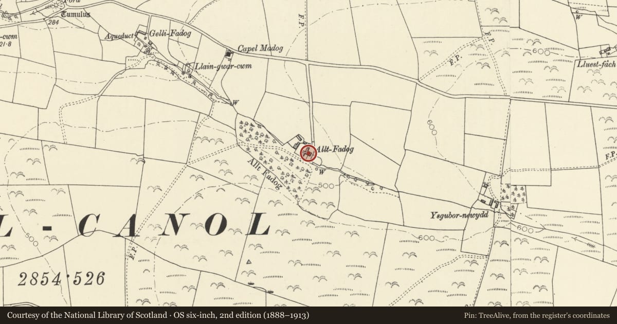 Ordnance Survey six-inch map, 2nd edition (1888–1913) covering the location of Alltfadog and attached outbuildings, Trefeurig, Ceredigion, with a pin at the register's coordinates