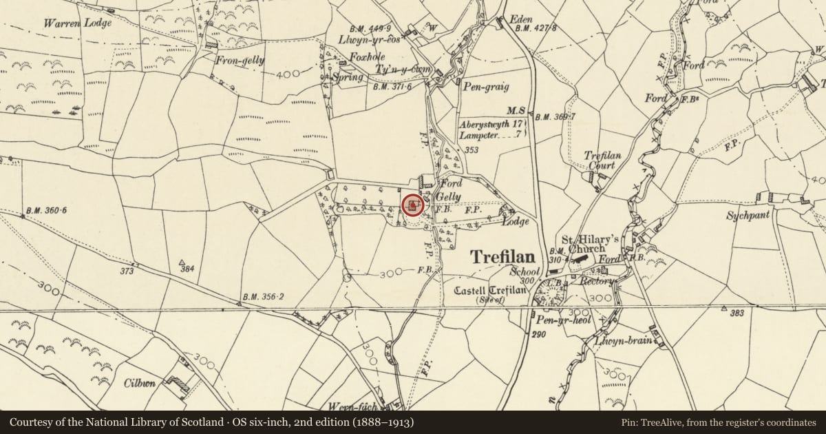 Ordnance Survey six-inch map, 2nd edition (1888–1913) covering the location of Gelli, Nantcwnlle, Ceredigion, with a pin at the register's coordinates
