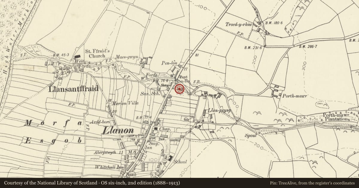 Ordnance Survey six-inch map, 2nd edition (1888–1913) covering the location of Brechfa, Llansantffraed, Ceredigion, with a pin at the register's coordinates