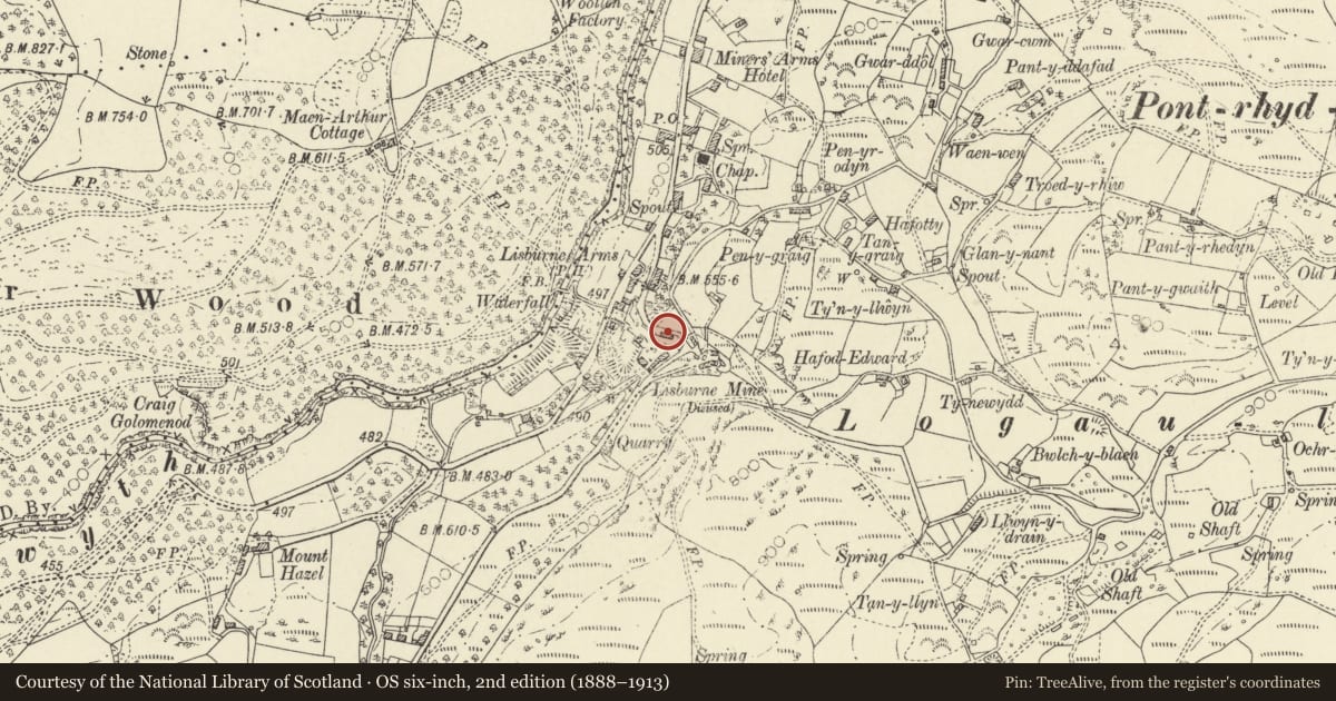 Ordnance Survey six-inch map, 2nd edition (1888–1913) covering the location of Gwynfryn and Isfryn, Ysbyty Ystwyth, Ceredigion, with a pin at the register's coordinates