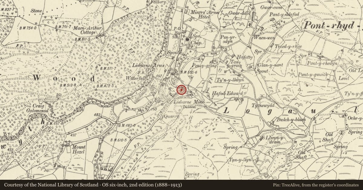 Ordnance Survey six-inch map, 2nd edition (1888–1913) covering the location of Entrance arch to the Lefel Fawr, Ysbyty Ystwyth, Ceredigion, with a pin at the register's coordinates