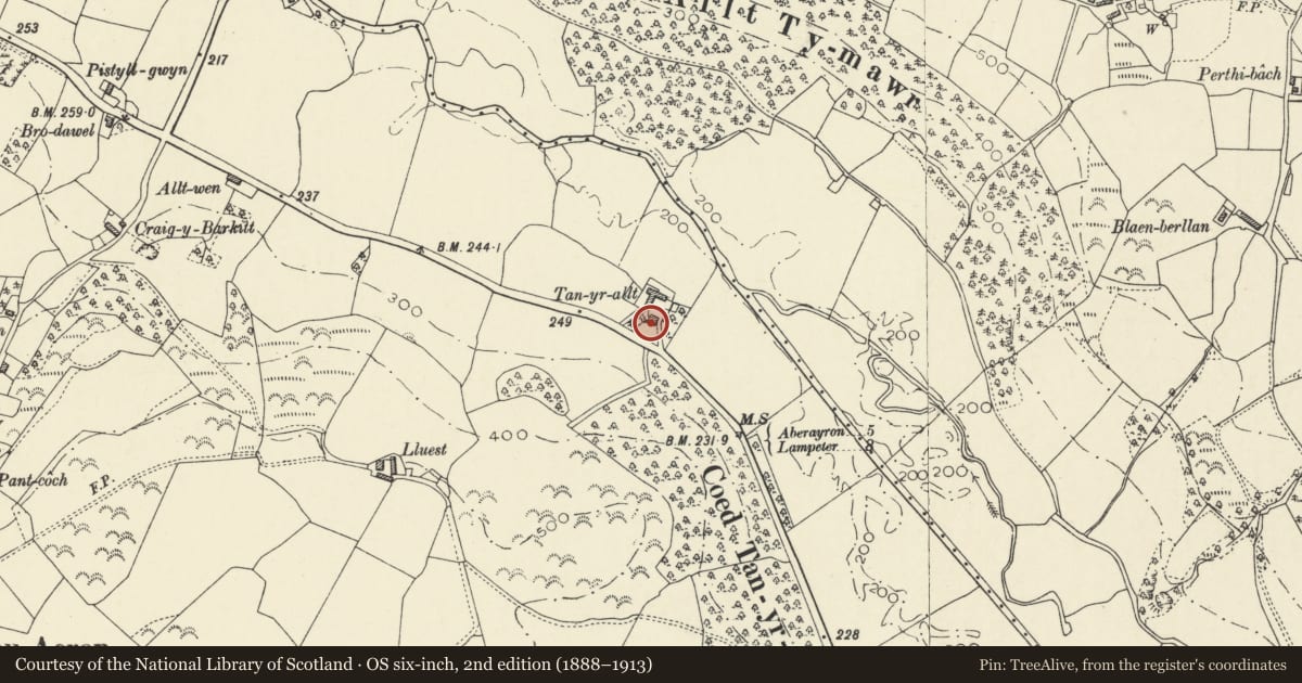 Ordnance Survey six-inch map, 2nd edition (1888–1913) covering the location of Tan-yr-allt, Ciliau Aeron, Ceredigion, with a pin at the register's coordinates