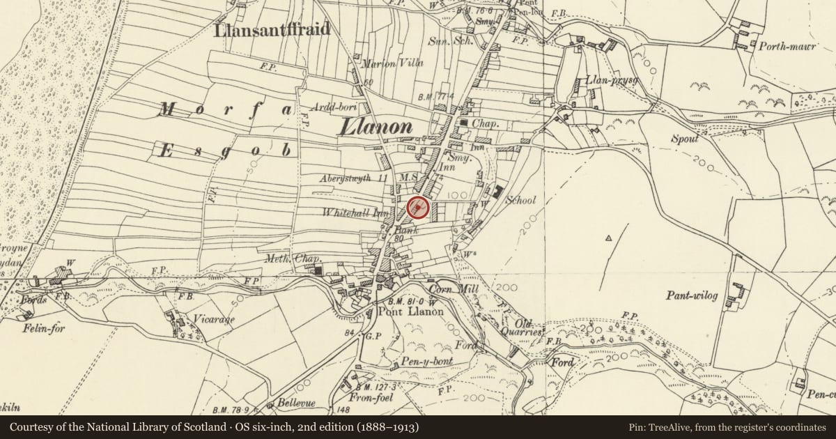 Ordnance Survey six-inch map, 2nd edition (1888–1913) covering the location of Levant, Llansantffraed, Ceredigion, with a pin at the register's coordinates